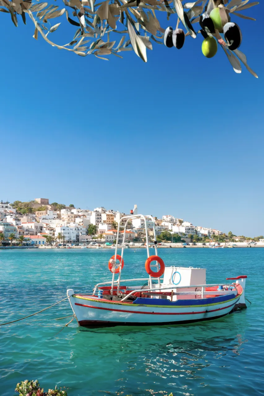 A colorful wooden fishing boat with red lifebuoys floats on the clear turquoise waters of a harbor, with a whitewashed coastal town built on a hillside in the background. Olive branches with ripe black and green olives hang in the foreground against a bright blue sky.