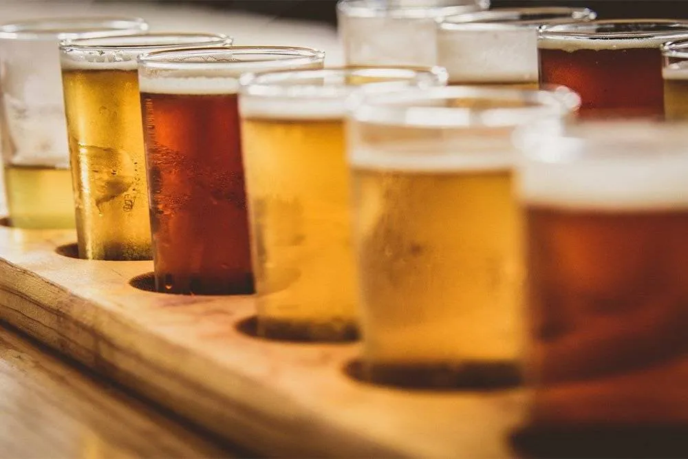 Row of microbrewery beer samples — Shutterstock