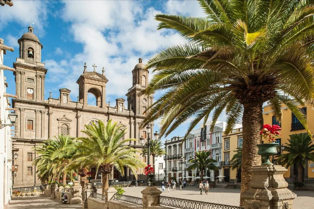 Vedere a Catedralei din Las Palmas, înconjurata de palmieri