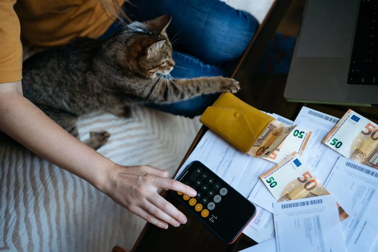 A woman gets her documents ready to travel with her cat.