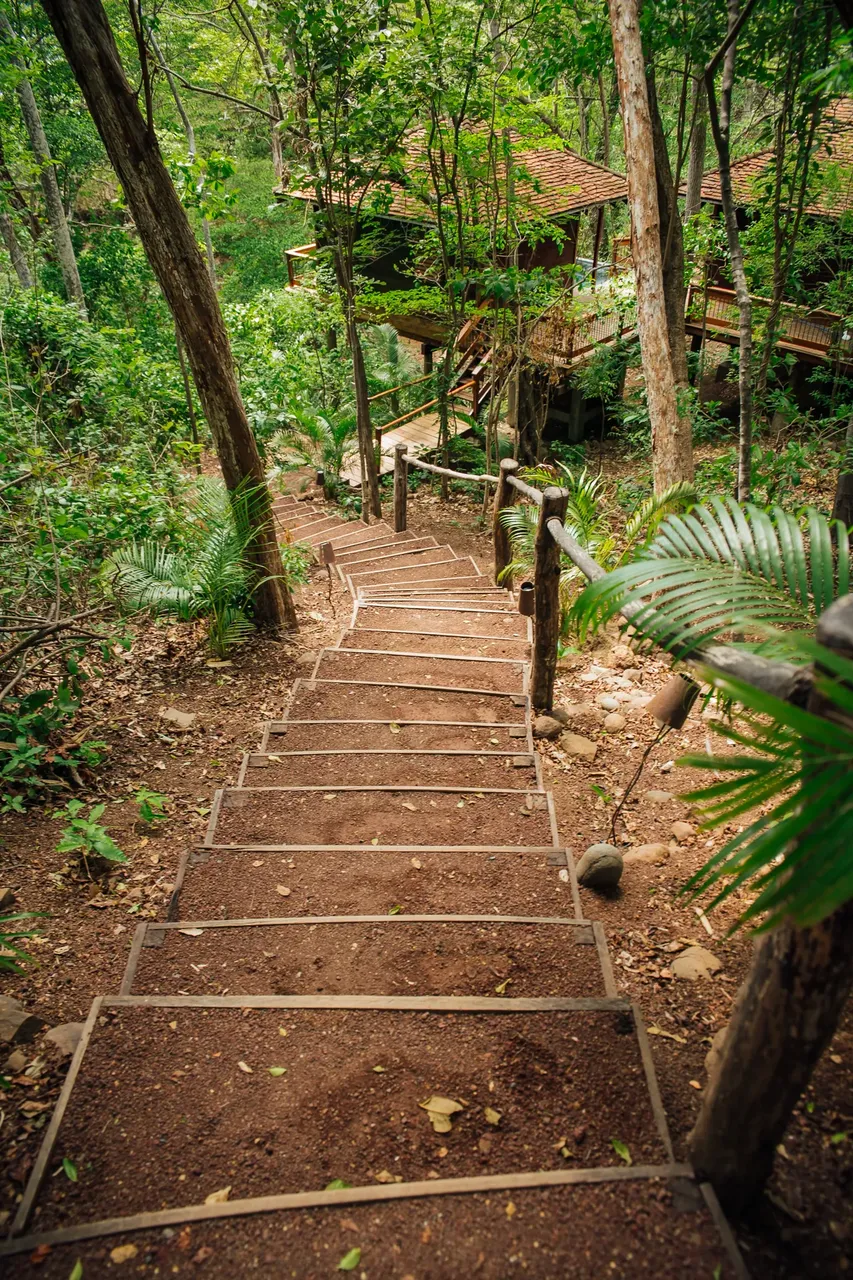Rainforst dirt path in Nicaragua — Getty Images