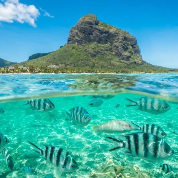 Islas tropicales del Sudeste Asiático y África