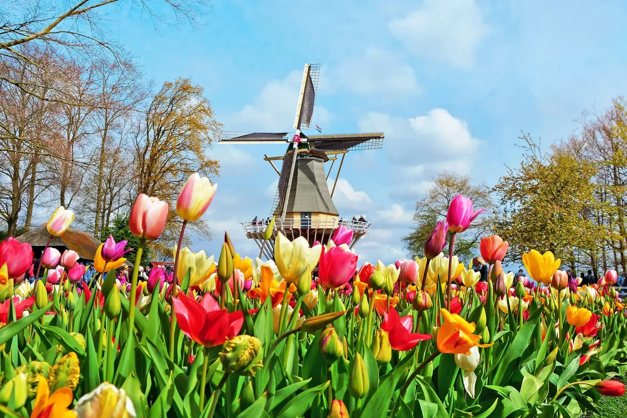 If you want the best of the best all in one place, head to Keukenhof Park and Gardens — Shutterstock The 6 best places to travel in April 2019