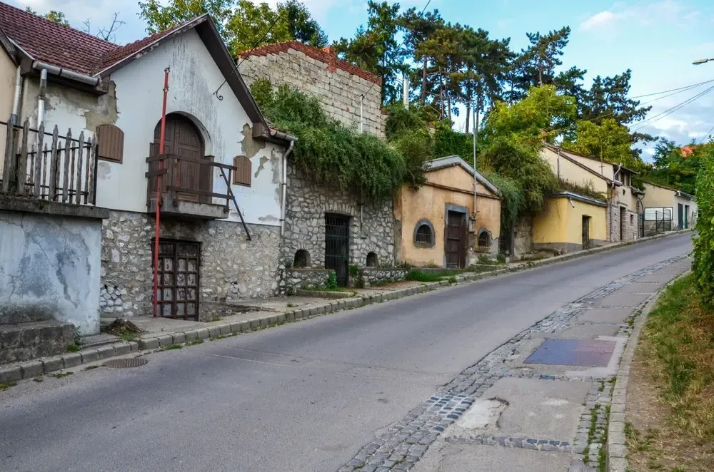 The Valley of the Beautiful Women is home to around 200 wine cellars, each producing a number of varieties — Shutterastock Romance, ruins and rebellion: why Budapest is one of Europe’s greatest cities