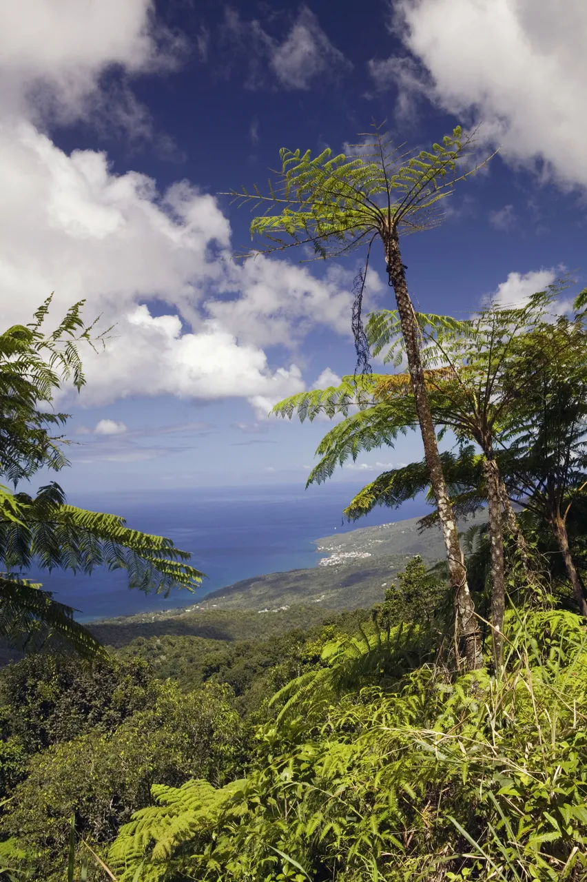 Guadeloupe National Park