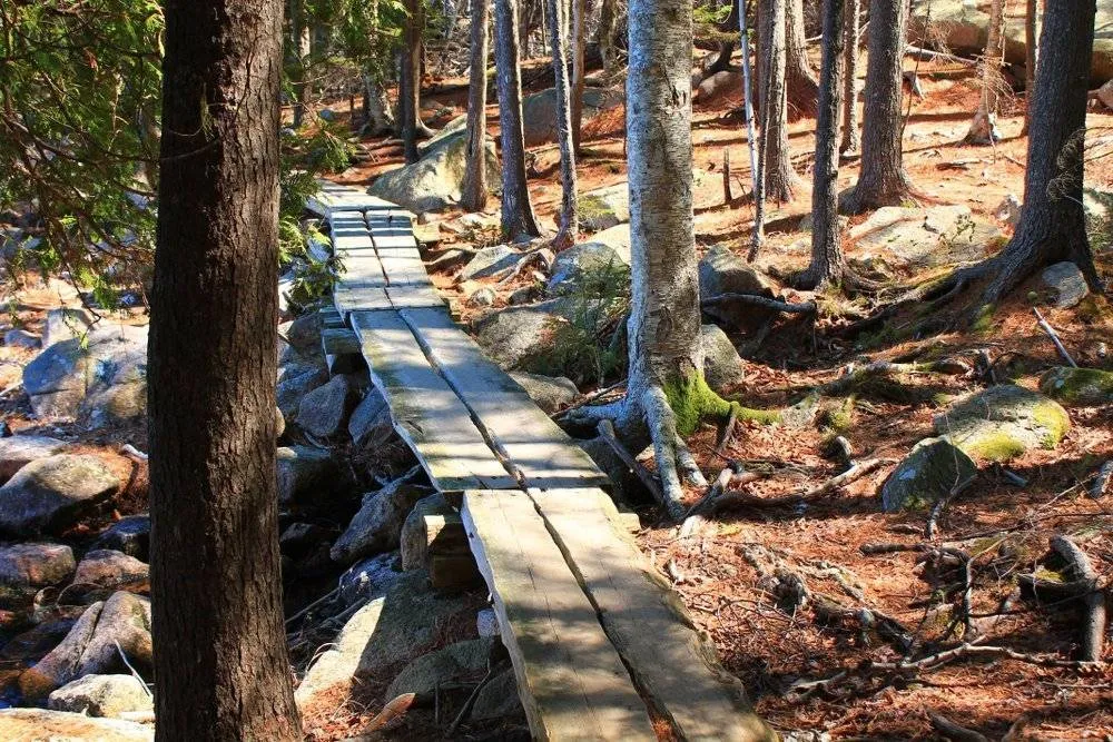 Acadia became the first national park east of the Mississippi River in 1919