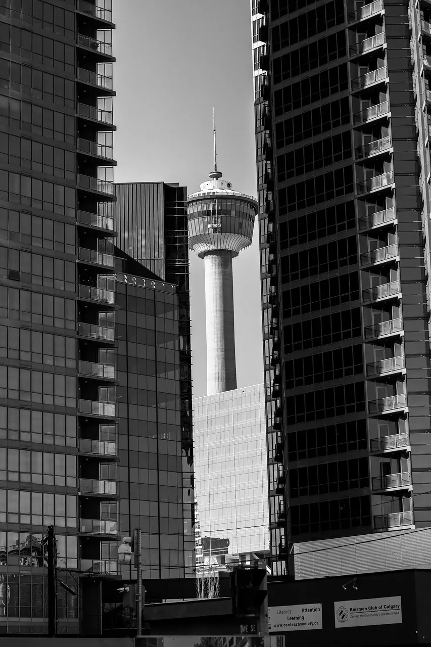 The Calgary Tower rising above the surrounding buildings in downtown Calgary, with its observation deck offering a 360-degree view of the city.