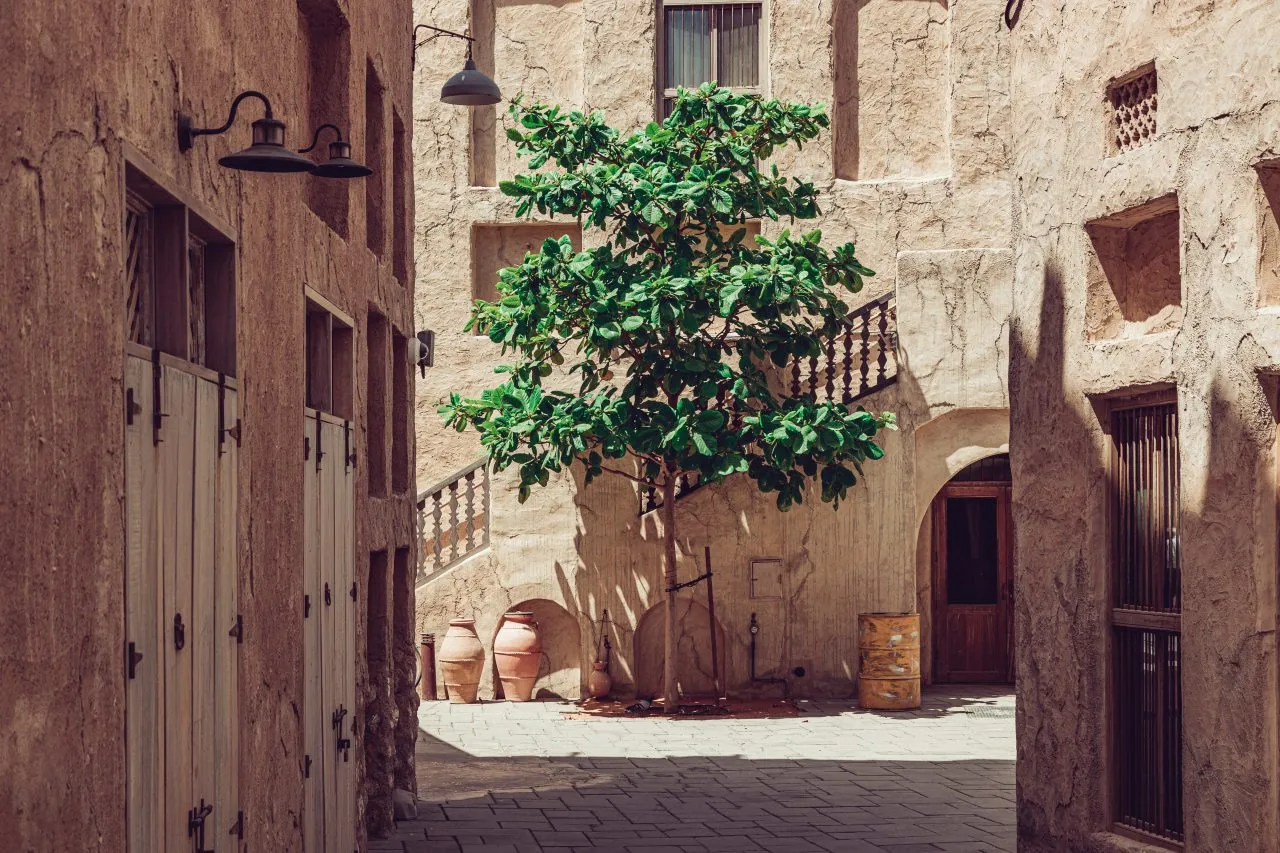 Al Fahidi historical neighborhood of Dubai, alleywith lone tree