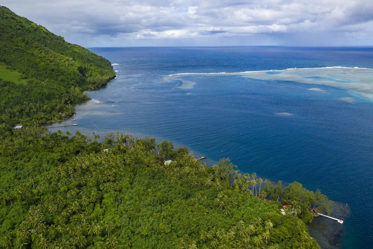 Aerial of coconut trees and lush jungle on southwest coast of Tahiti-Iti with reef in distance, Maraotiria, Tahiti, Windward Islands, French Polynesia