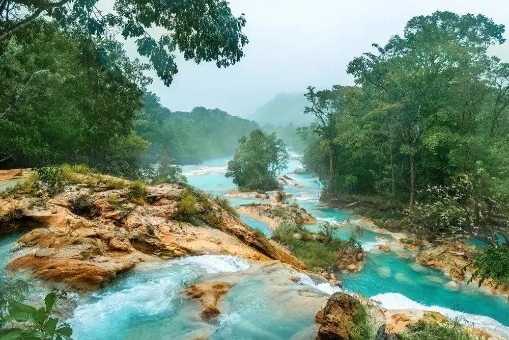 Chiapas államban, a guatemalai határon, ahol vezetett túrát tehet a Lacandon dzsungelben.
