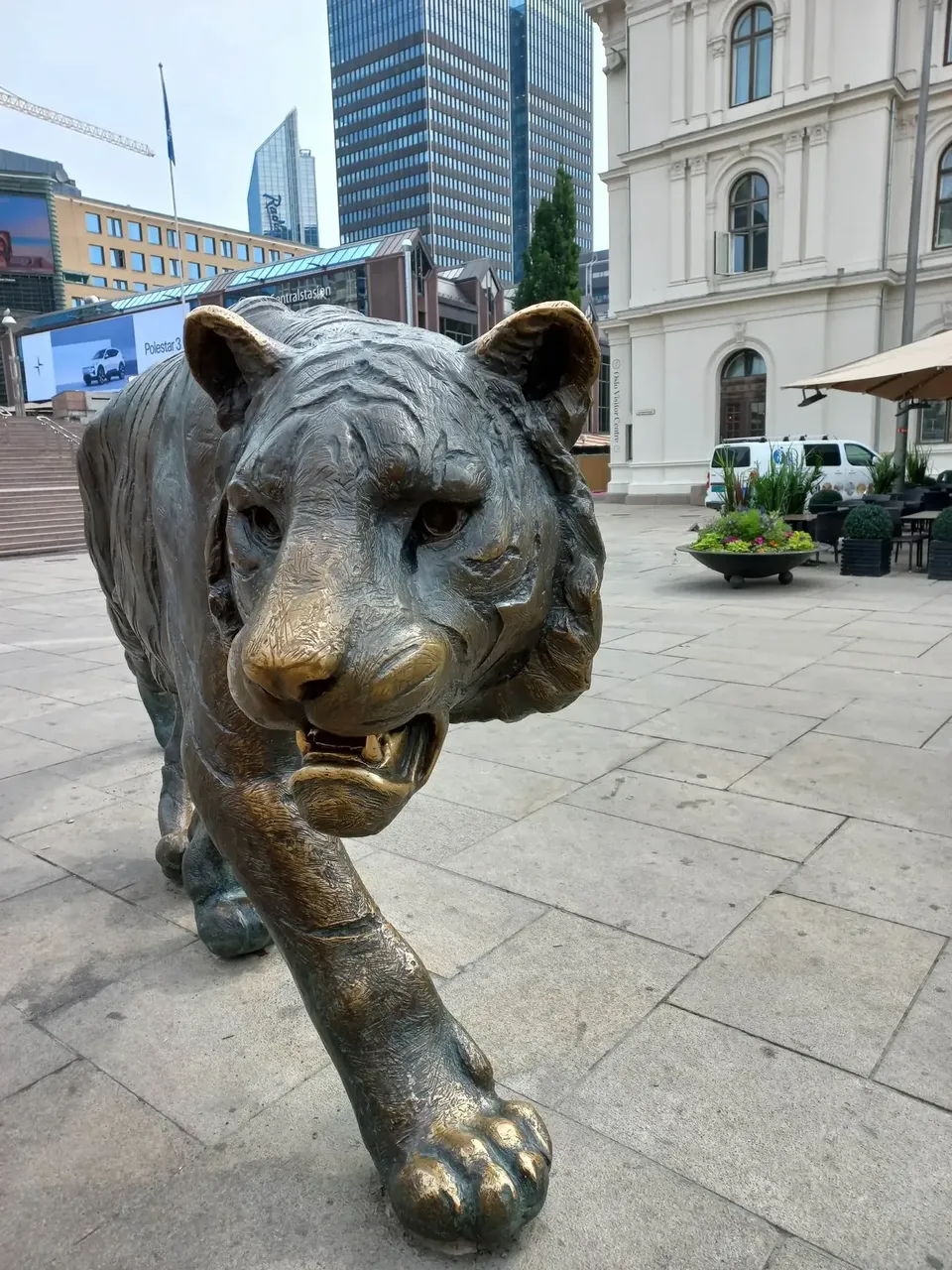 The Tiger bronze statue in Oslo — David Szmidt