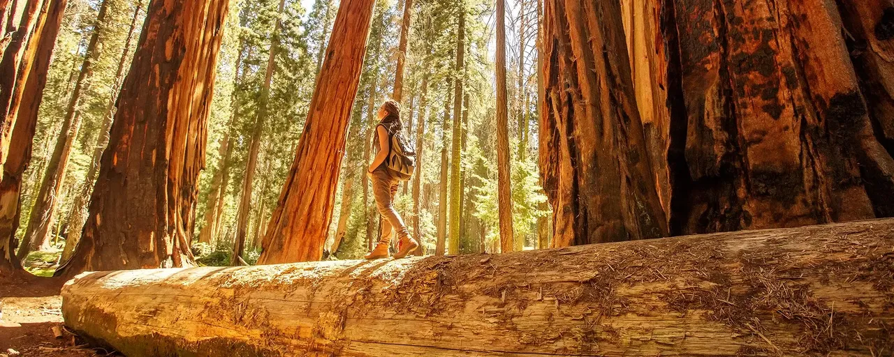 8 destinations for your big American adventure