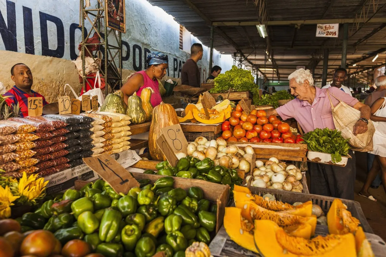 A La Habana Vieja (óváros) területén lévő Mercado Agropecuario Egido piac, amely Havanna vasútállomásának közelében, az Avenida de Belgica mentén, a Corrales és Apodaca között helyezkedik el.