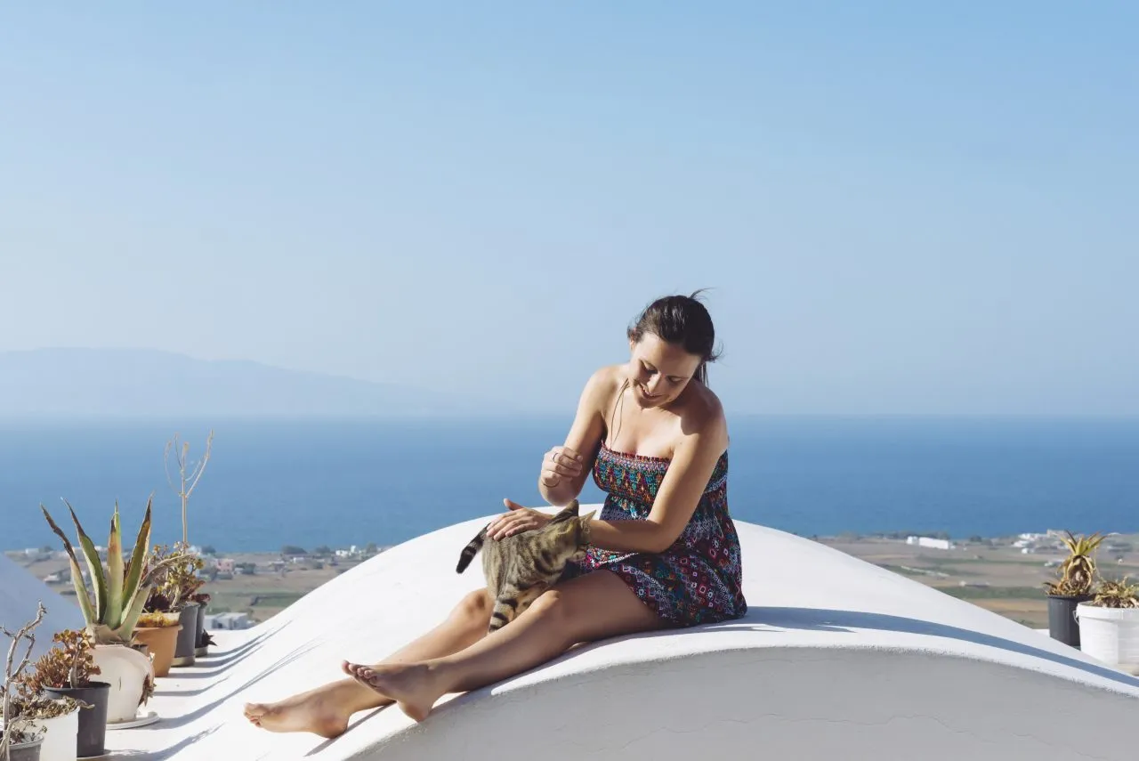 Greece, Santorini, Oia, woman petting a cat