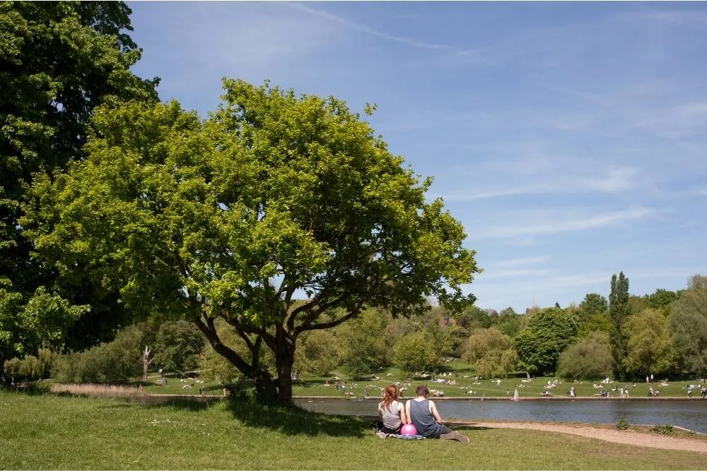 Hampstead Heath park nad jeziorem