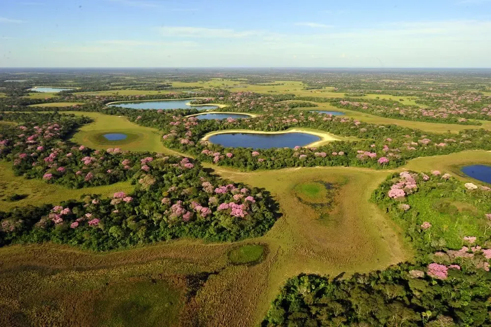 The Pantanal area of around 150,000 square kilometers of a wetland is the largest reserve on the planet — Shutterstock Rio de Janeiro — the gateway to South America