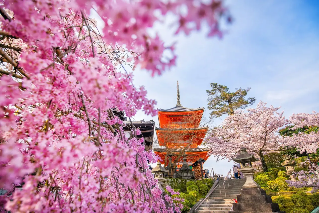 There is nowhere in the world like Kyoto when the sakura pops – Shutterstock cherry blossom festival sakura hanami