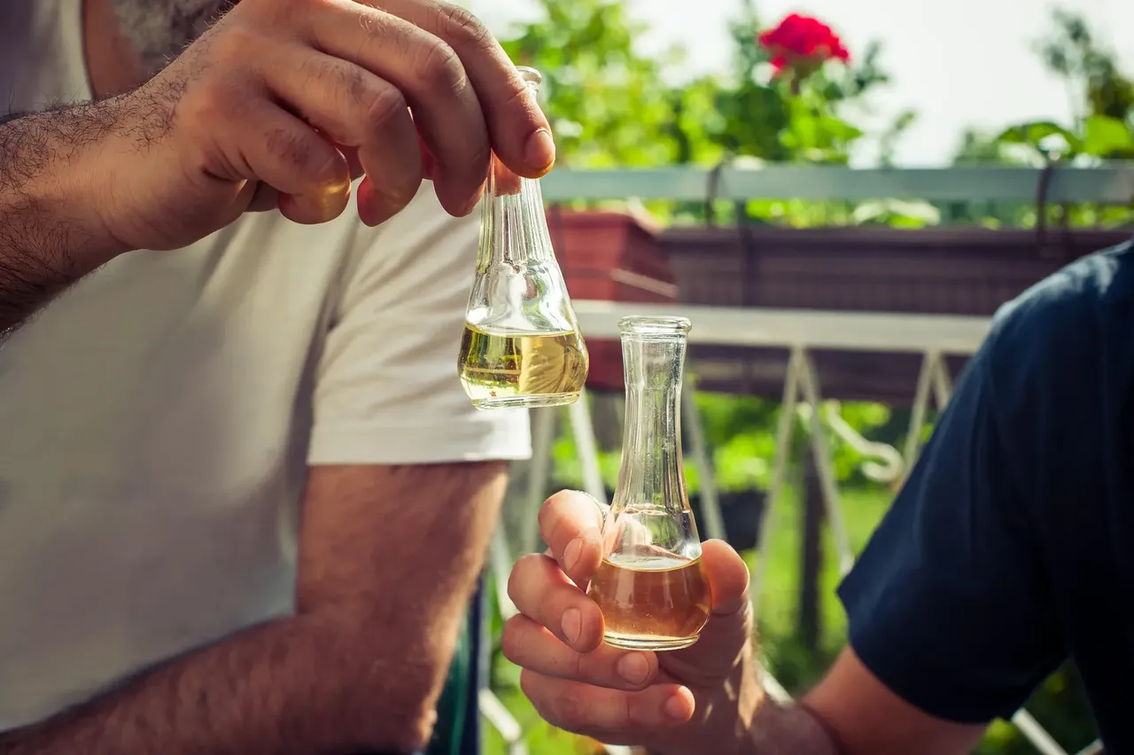 Despite their Muslim heritage, many Bosnians drink alcohol on a regular basis. Rakija is the typical example — Shutterstock