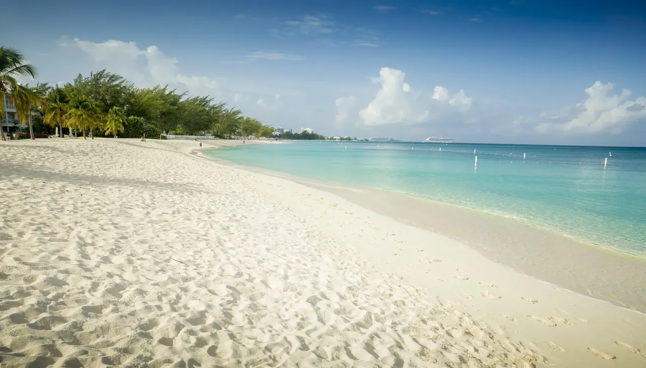 White sand, blue sea, palm trees - this is just the image of a classic beach — Shutterstock beaches 2018