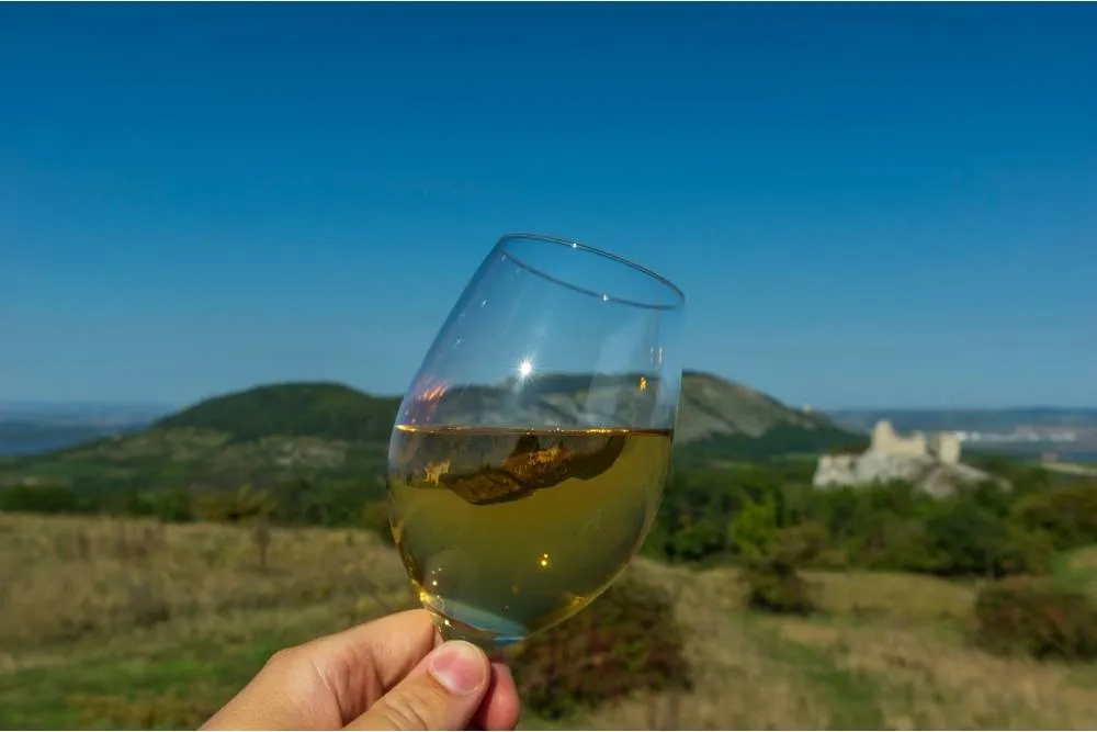 Person holding a glass of wine against rural Moravian view — Shutterstock