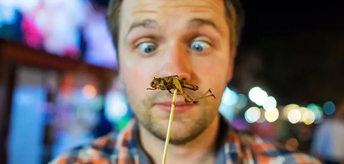 Chuťová dobrodružství: Destinace pro milovníky experimentů aneb není jídlo, jako jídlo
