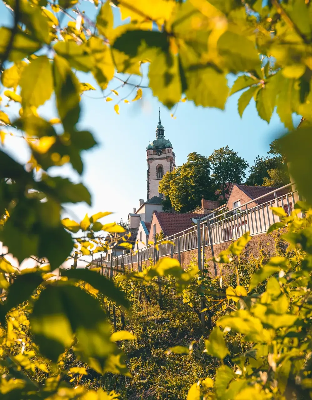 View of church steeple in Mělník through leaves on a tree — Shutterstock