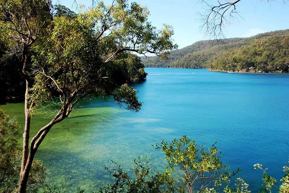 Creek view in Ku-ring-gai Chase National Park — Shutterstock