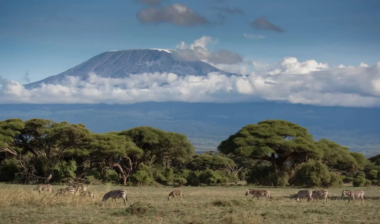 Kilimandžáro je se svými 5 895 metry nejvyšší horou Afriky