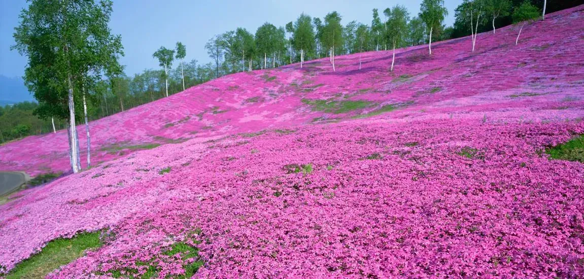 7 Barbie-inspired pink places to visit