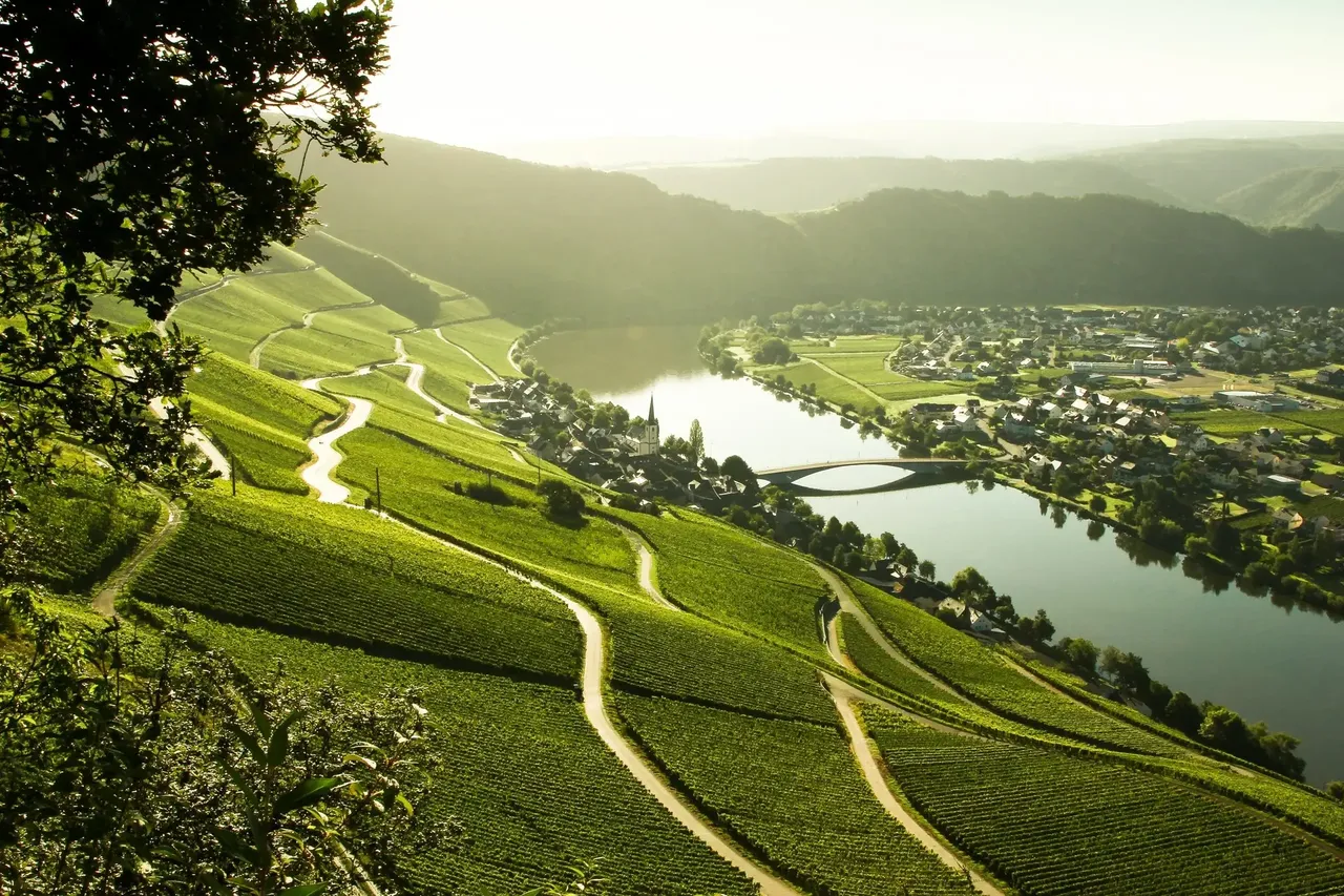 After the day spent cycling, you can treat yourself to a drop of the wine that the region is famous for — Shutterstock 6 best places to travel in September 2019