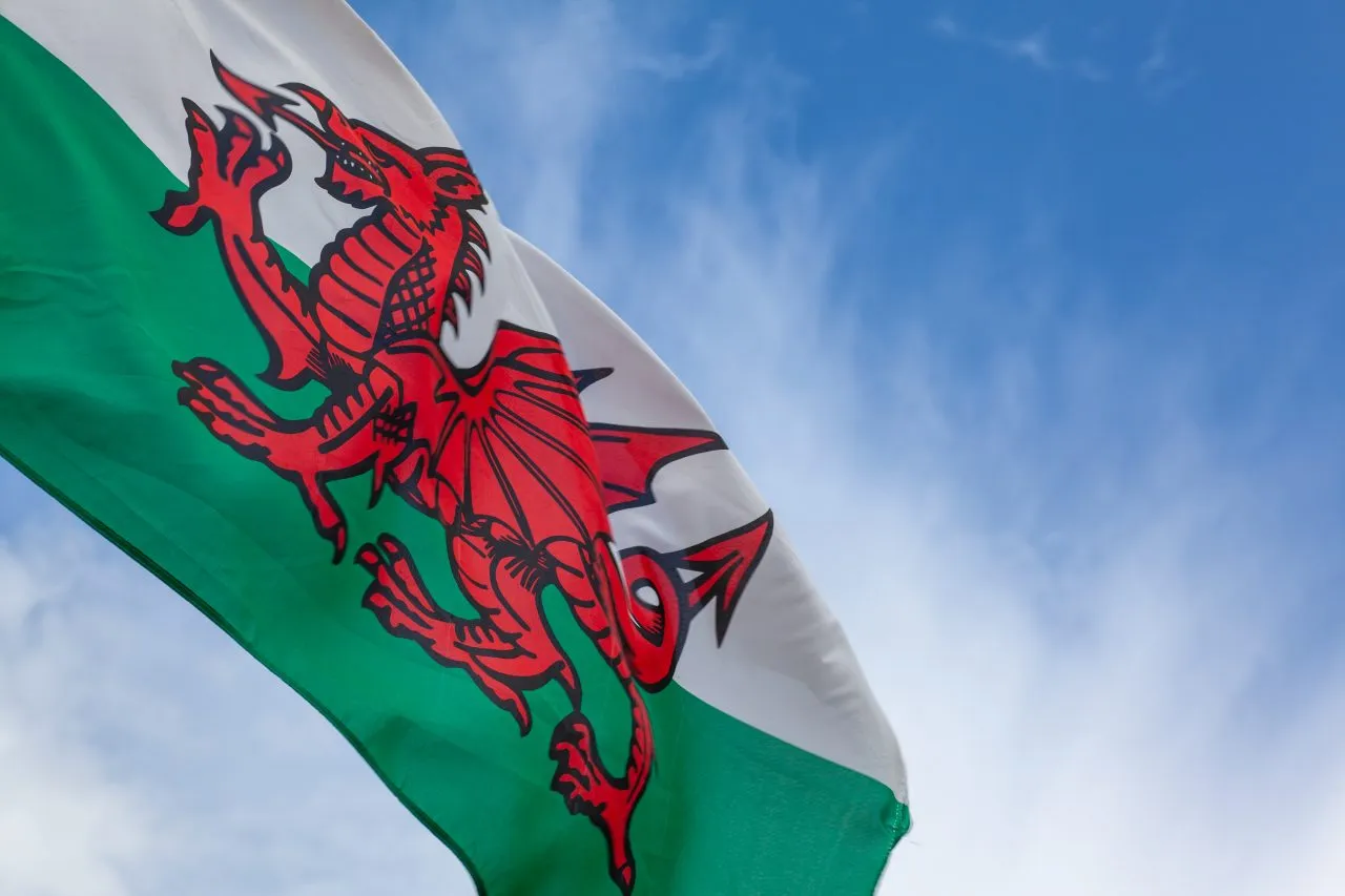 Welsh Dragon Flag