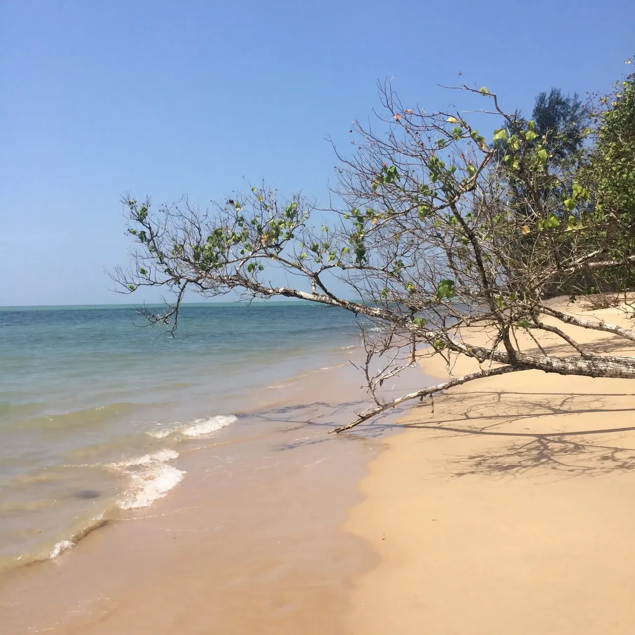 All alone in paradise