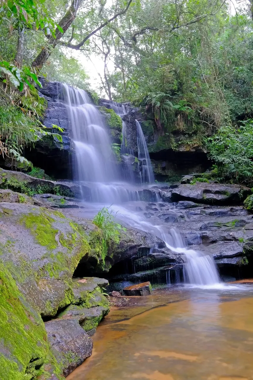 El parque en sí es un bosque lleno de frondosos árboles, matorrales rocosos, cascadas y piscinas – Shutterstock