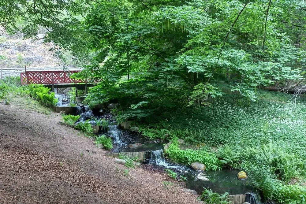 Stream, footbridge and trees in Slottsskogen — David Szmidt