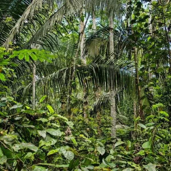Puerto Maldonado: Do srdce Amazonie