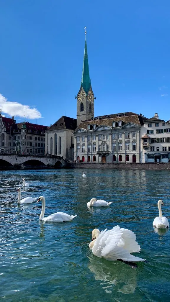 Zurich Switzerland architecture, lake, swans