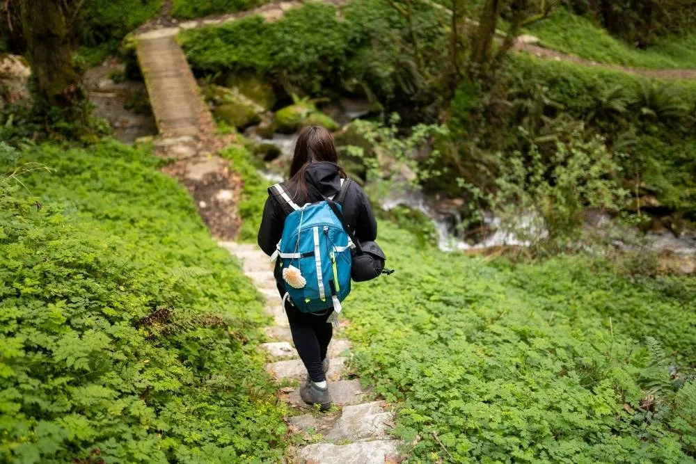 Walker in a forest on the Camino de Santiago — Shutterstock