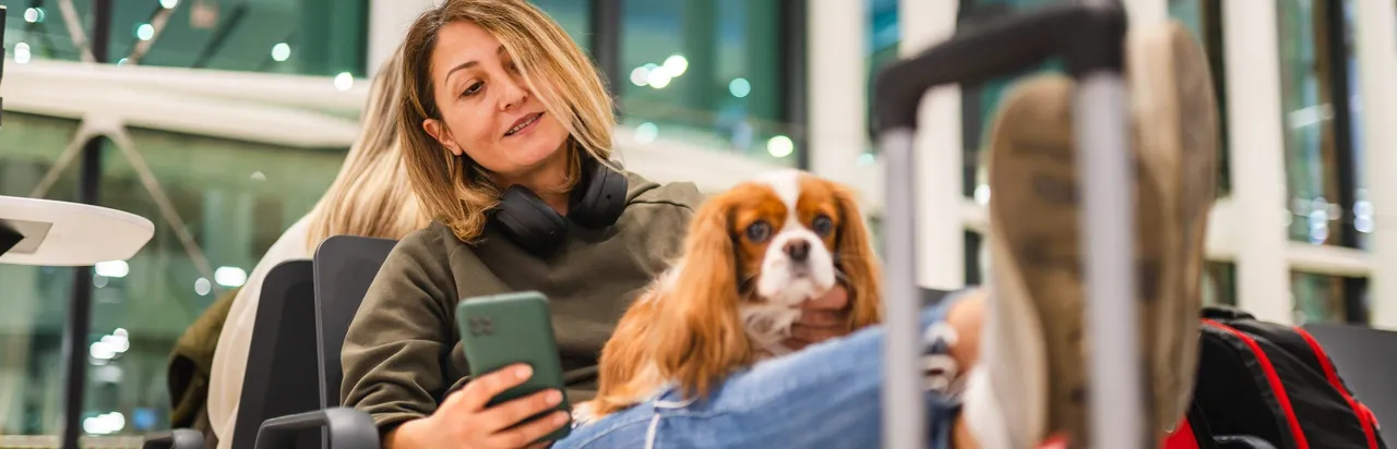 Everything You Need To Know About Flying With Pets To The U.S.A.