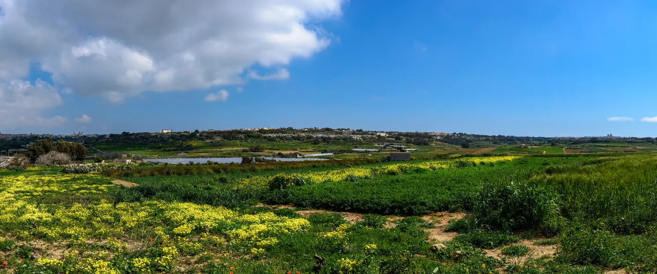 Vistas panorámicas de Gianpula Fields