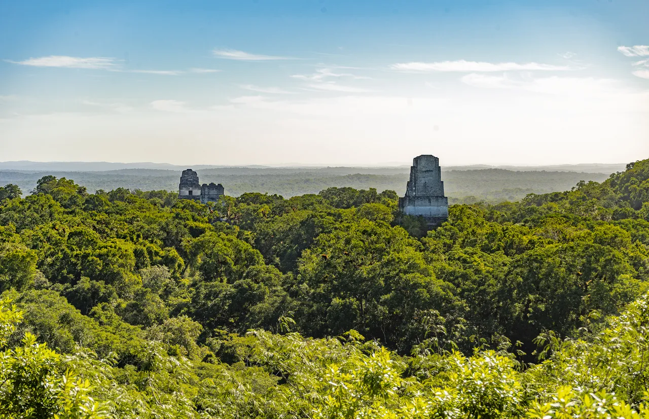 Pictures taken at sunrise and in the early morning in Tikal by Rodrigo Escalante.