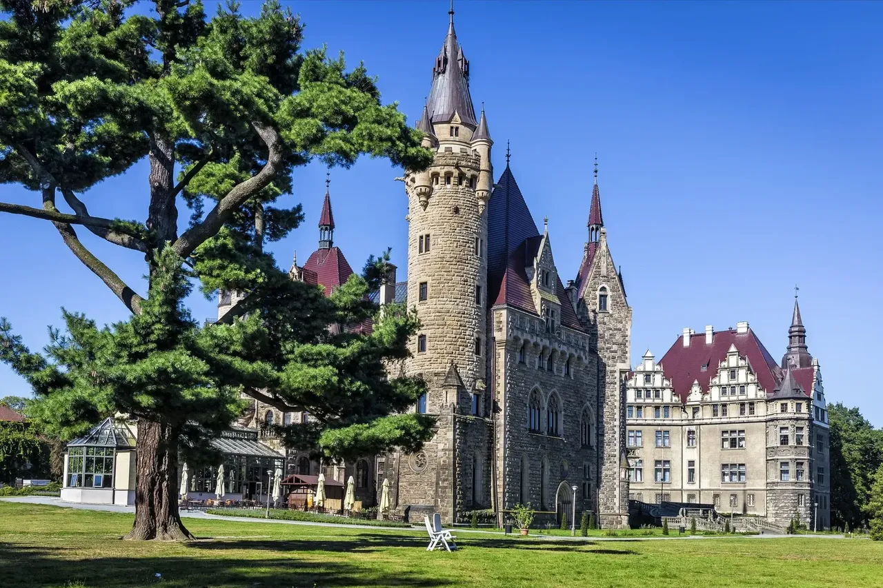 widok neogotyckiego zamku, przed nim ogromne drzewo, Moszna, Polska