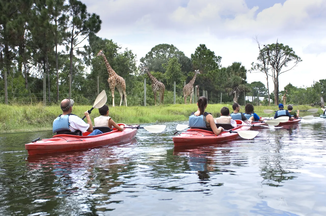 Family kayaking through the Brevard Zoo, Melbourne, Florida, the USA