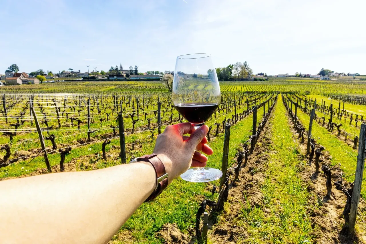 Savurând un pahar de vin într-o vie luxuriantă din sudul Franței.