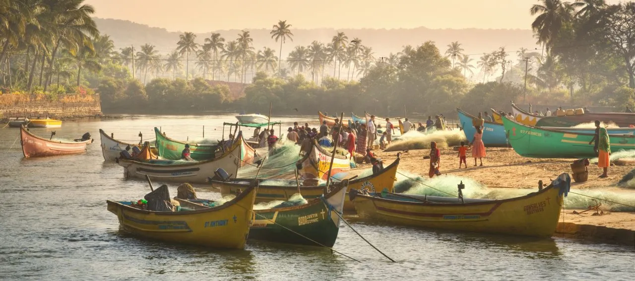 Fishing Boats in Baga