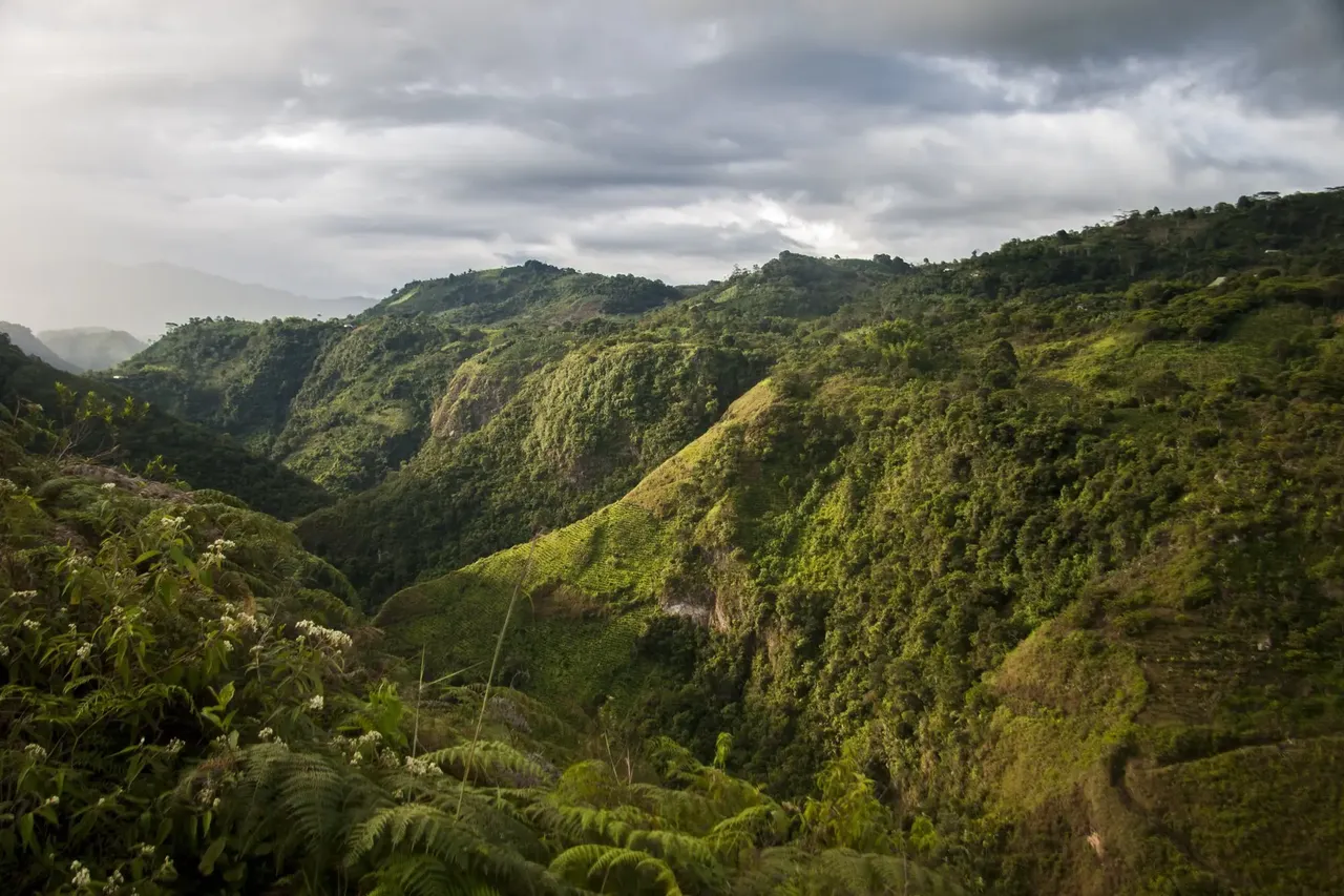 Morales was amazed by the tranquillity and natural beauty of the mythological site — Laura Secorun Palet
