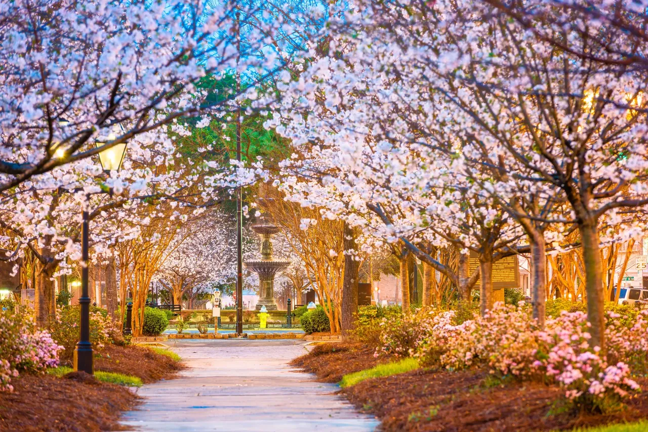 Macon, Georgia, claims to have the best cherry blossom festival in the world – Shutterstock cherry blossom festival sakura hanami