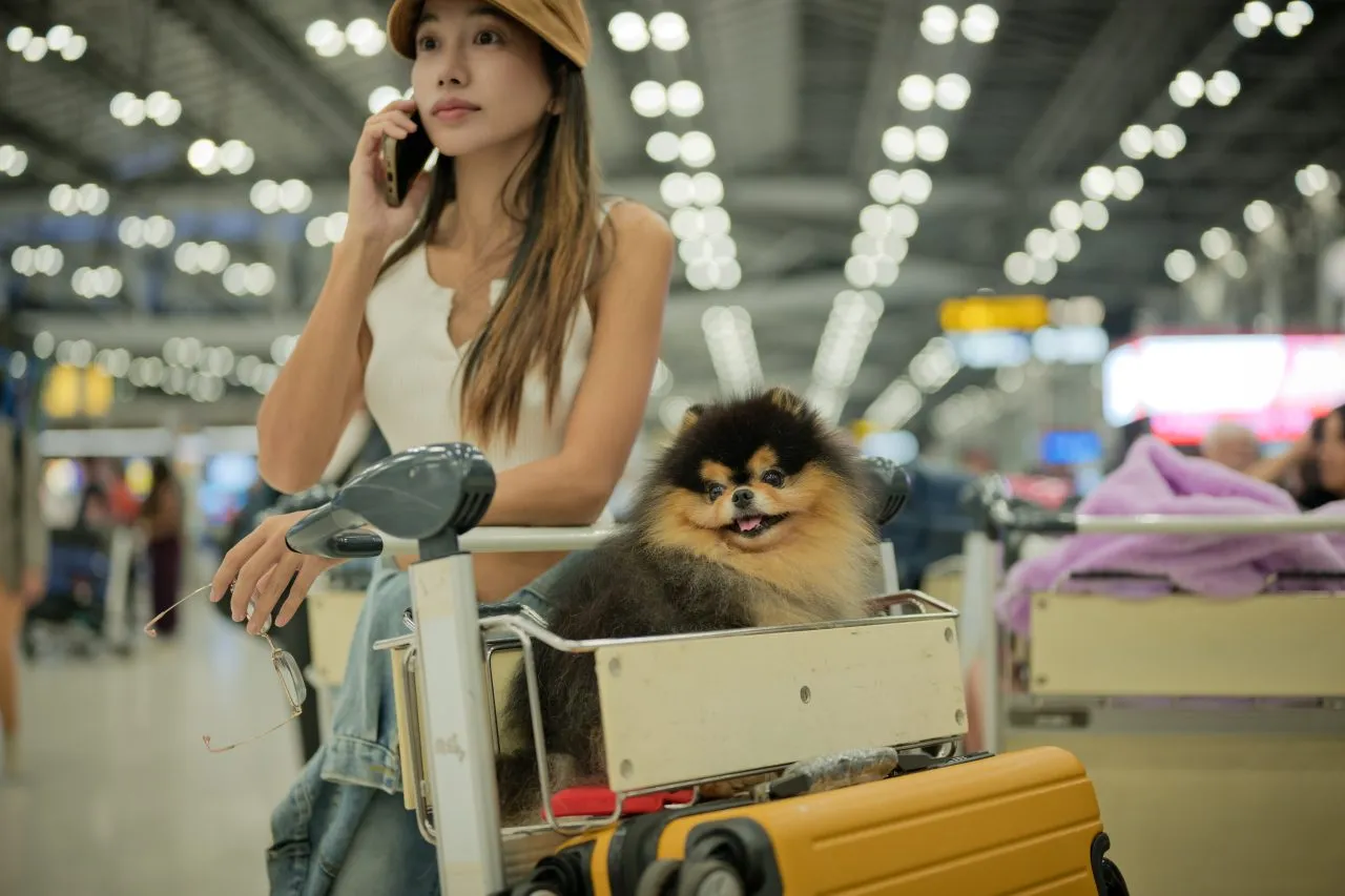 Travelling with a dog at the airport