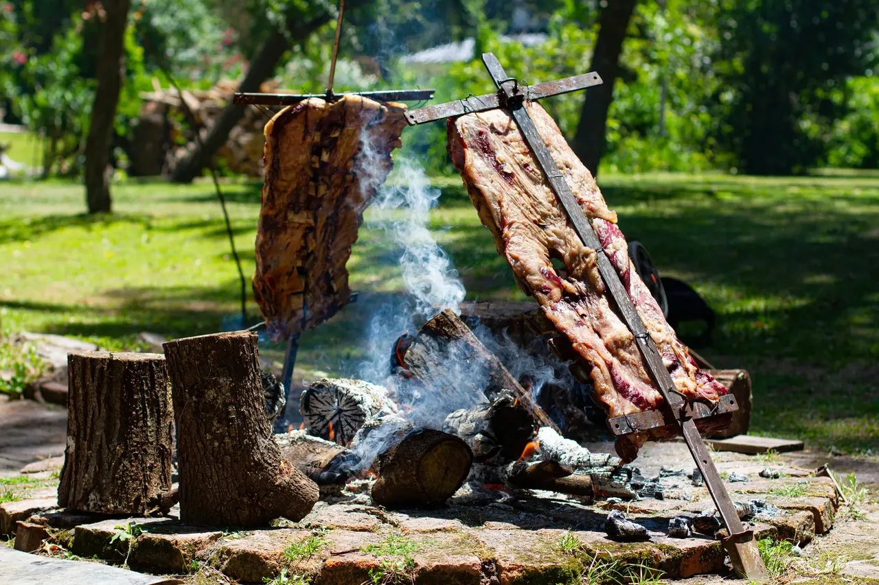 Asado, steaks roasting on an open fire — Shutterstock