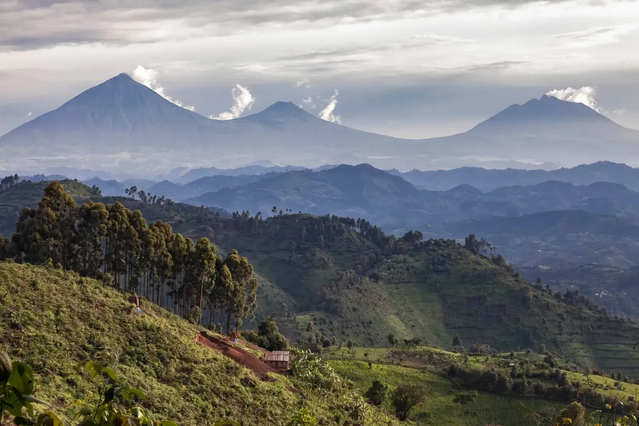 Na území Národního parku Volcanoes najdete hned pět z osmi sopek v horách Virunga