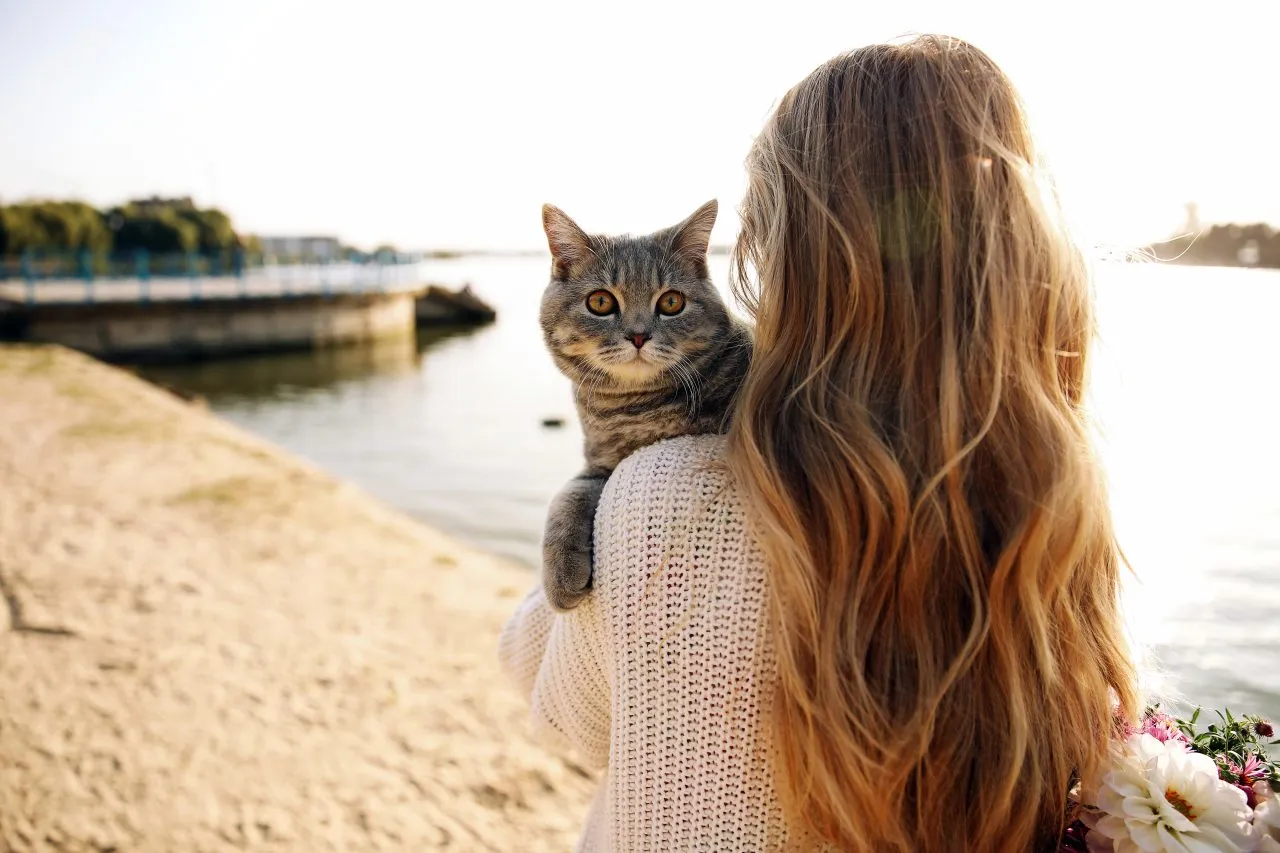 Woman hugging a scottish kitten on a walk by the water